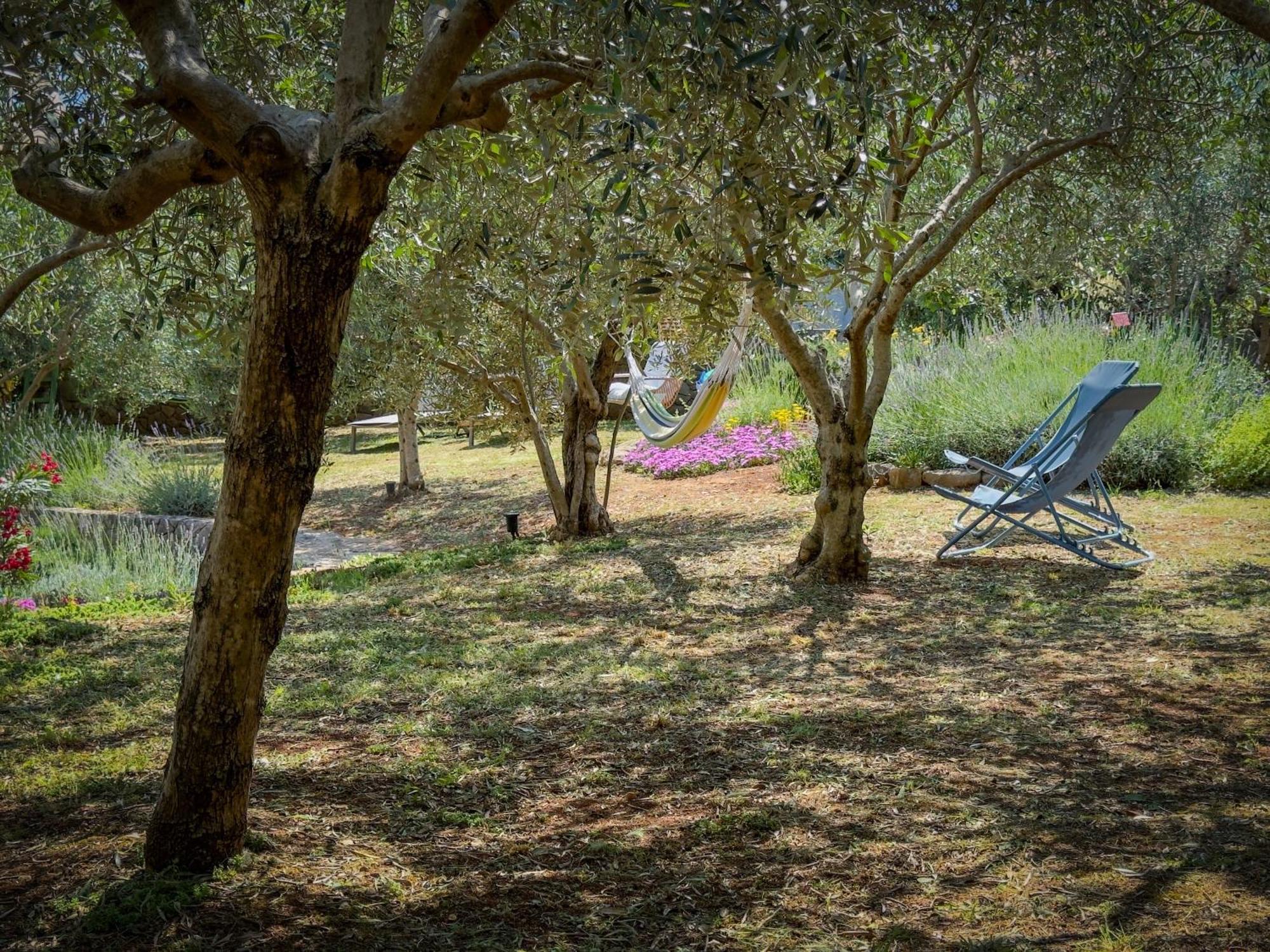 Holiday Home Lavanda Kornic Luaran gambar